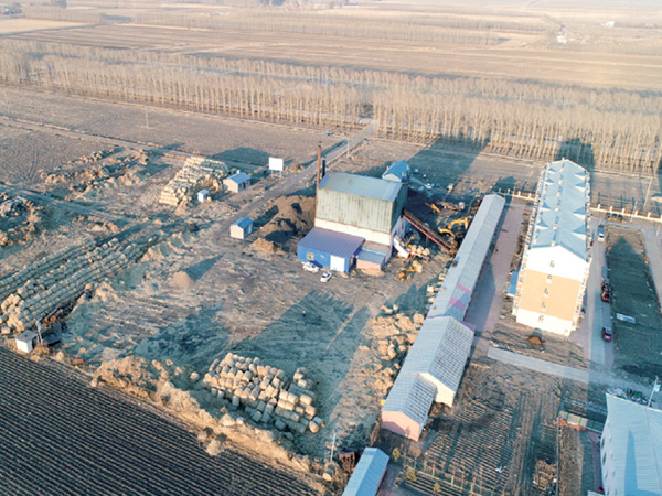 依安縣依龍鎮(zhèn)8.4MW(12噸)秸稈捆燒鍋爐集中供熱項目